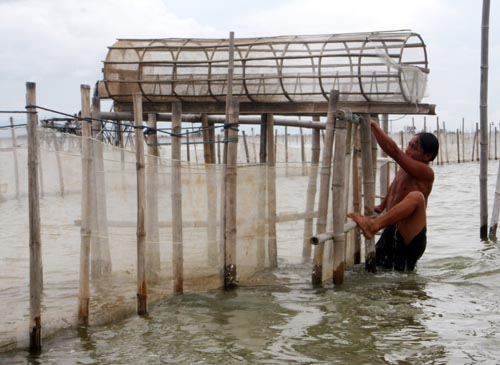  T&igrave;m về "nh&agrave; gi&agrave;n" tr&ecirc;n ph&aacute; Tam Giang
